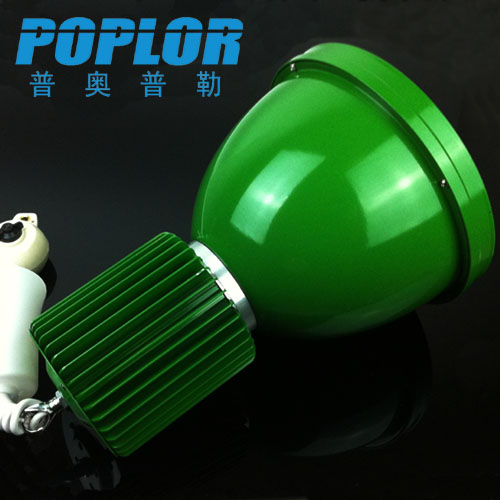 LED豆胆灯实物图