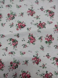 Linen and cotton printed cloth