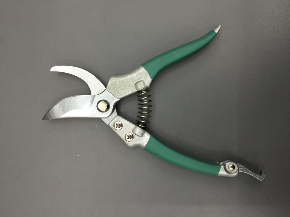 801 branches cut thumbnail