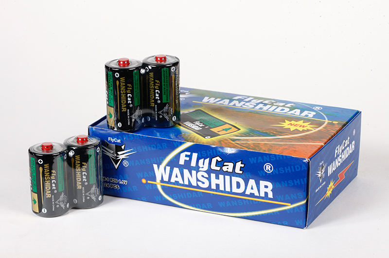 WANSHIDAR large battery details Picture