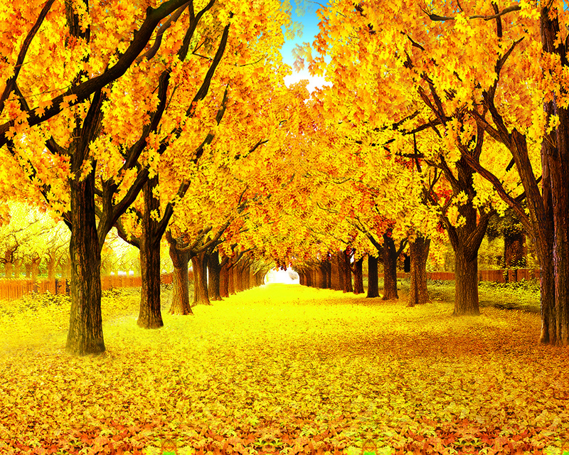 4050电表箱画心 风景 年年有余 火爆销售中、数量有限