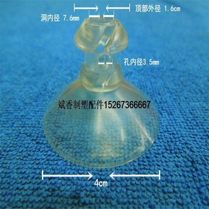 其他带子类实物图