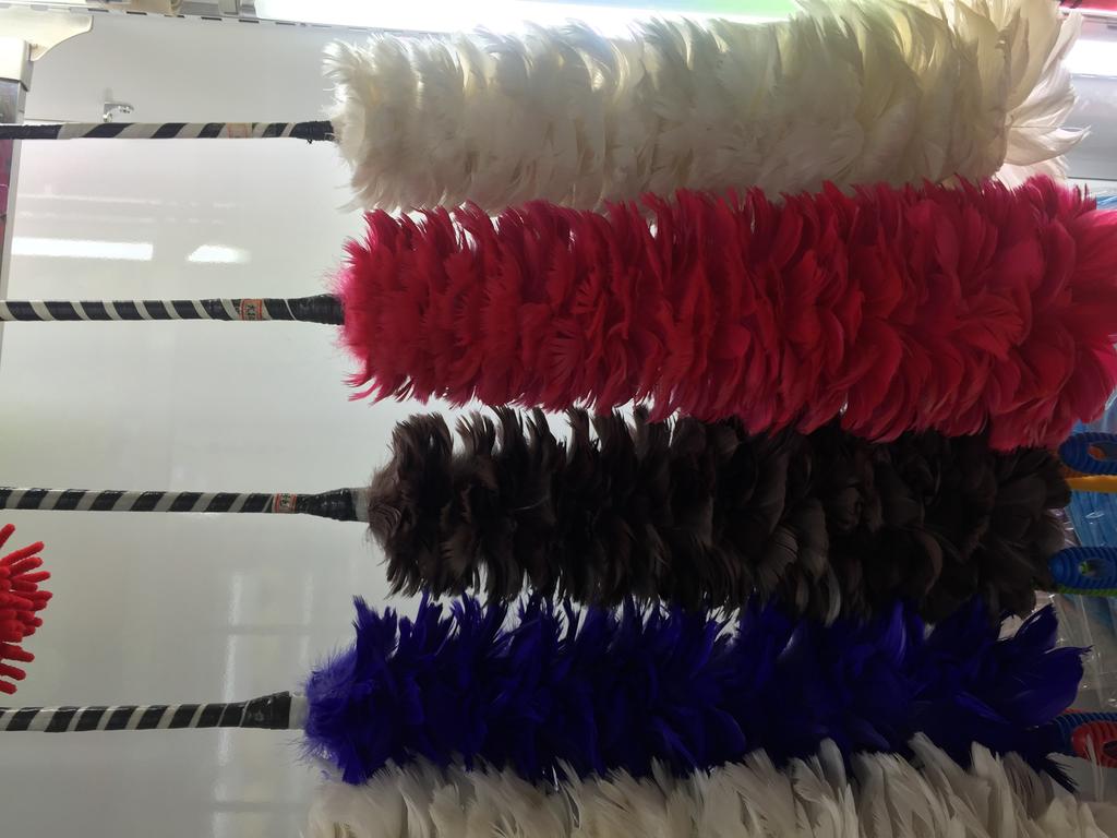 羽毛、羽绒实物图