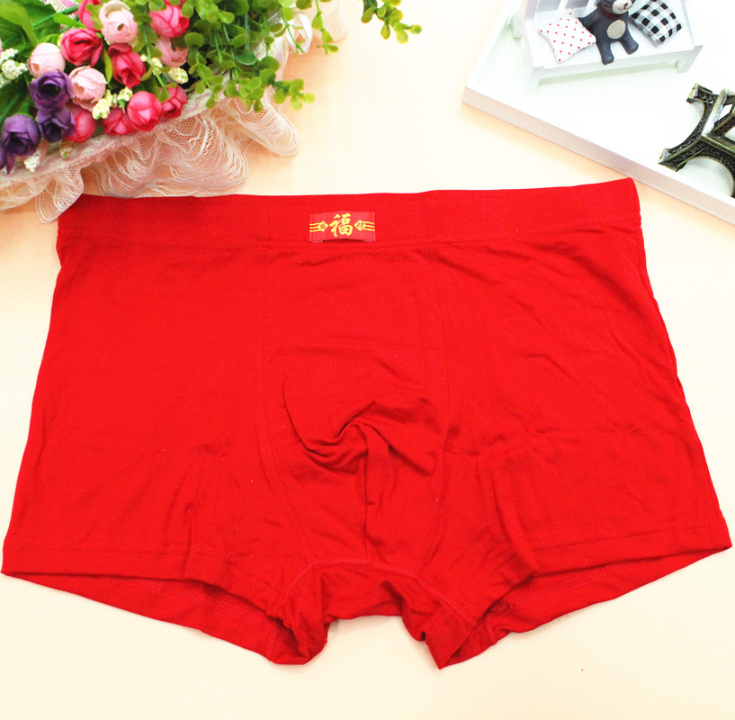 New Hongyun Bamboo Fiber Men's Underwear Flat Angle 1038 details Picture