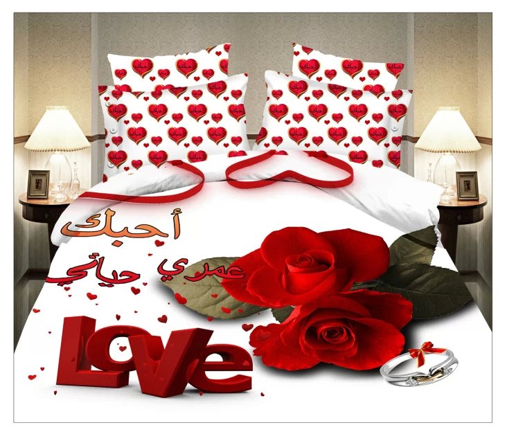 4-piece set of national trend, bedding,3D manufacturer, cheap, matte, printed, for export