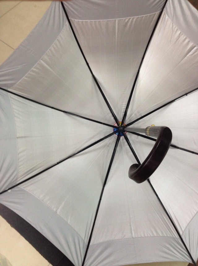 A grid waterproof silver rubber umbrella with a straight pole details Picture