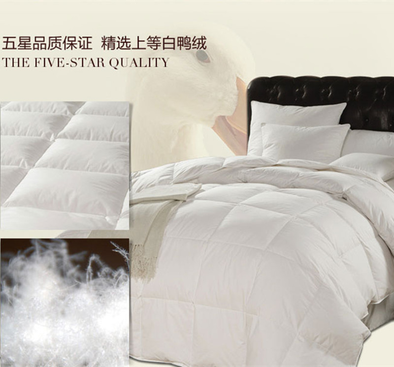 Shefan five-star hotel supplies duck down quilts, down quilt cores, thickened warm quilts Application Scenario