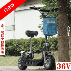 Lys-011-1 36V12A 500W electric trolley with brushed seat full figure