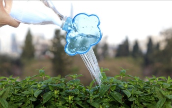 Creative new cloud sprinkler Cloud spray pot Cloud flower pot details Picture