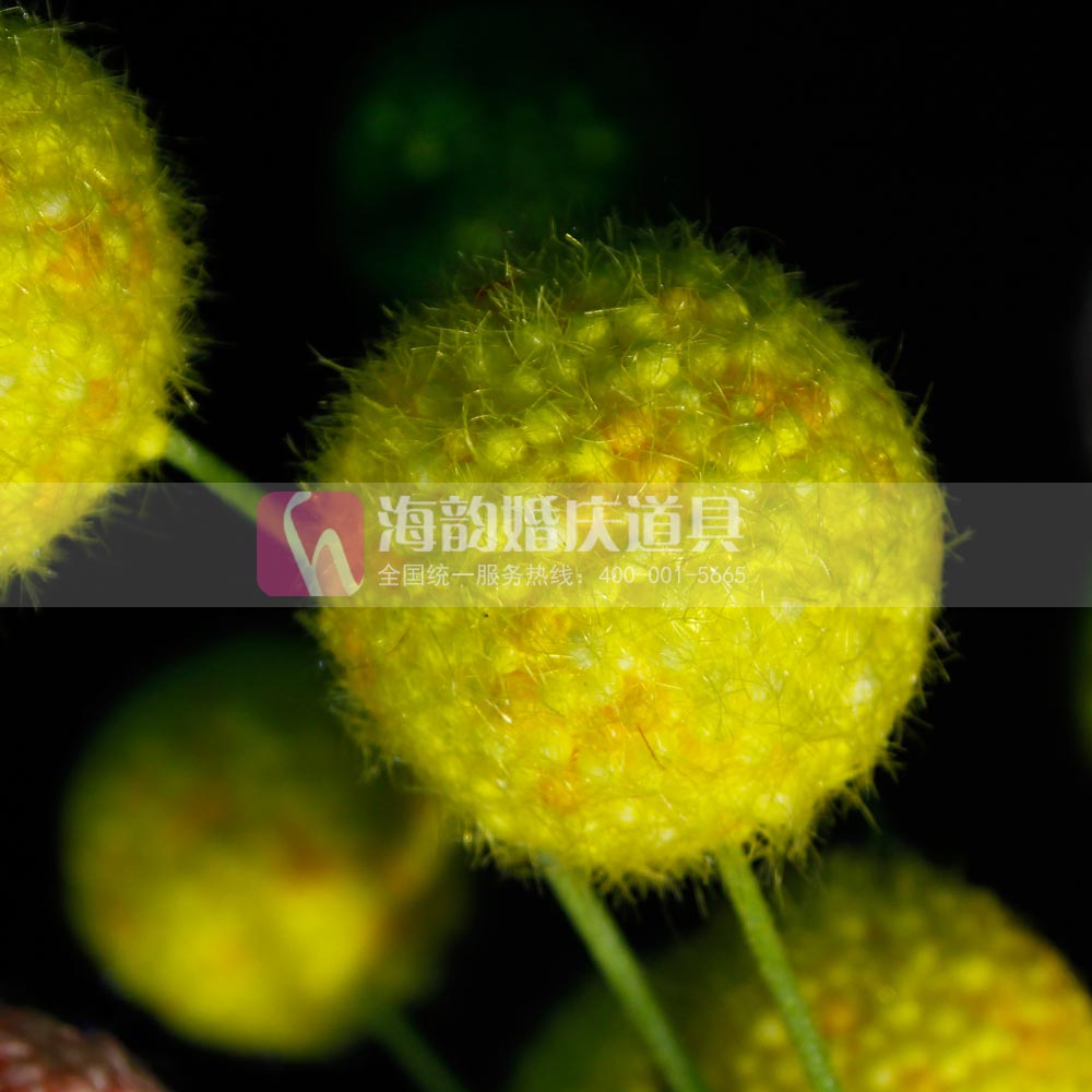 Haiyun wedding props, wedding supplies, wedding floral materials, artificial flowers, three-pronged dandelion, and fluffy ball flowers Specification image