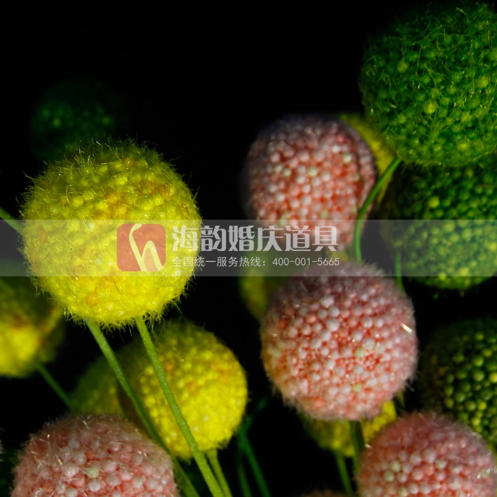 Haiyun wedding props, wedding supplies, wedding floral materials, artificial flowers, three-pronged dandelion, and fluffy ball flowers details Picture