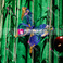 海韵婚庆道具 标本蝴蝶装饰 婚礼布置 森林系列 珠光蝴蝶产品图