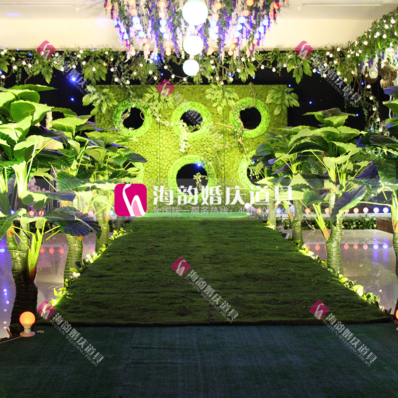 仿真植物实物图