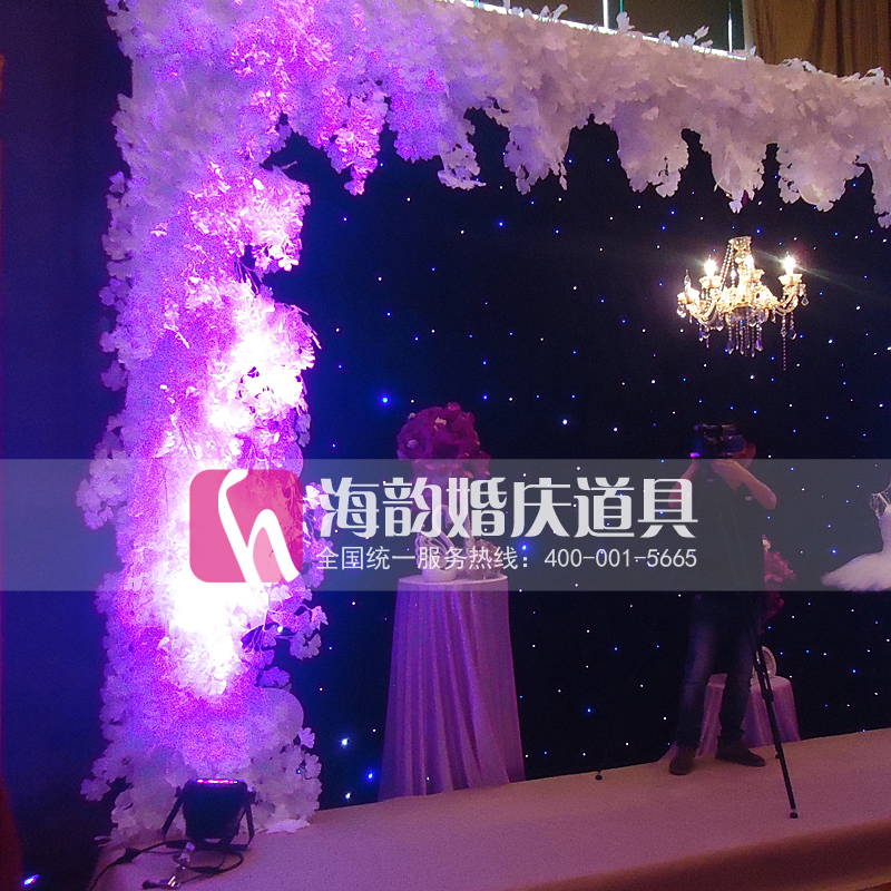 Special offer on wholesale promotion of LED stage curtains for Haiyun wedding props from the manufacturer. Starry sky curtains details Picture