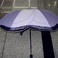 小清新太阳伞五角星型遮阳伞防风实用晴雨伞甜美雨伞图