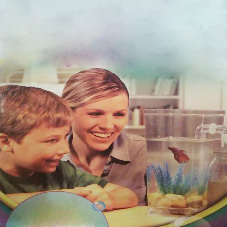 厂家直销新款电子鱼缸，迷你电子鱼缸，创意电子鱼缸