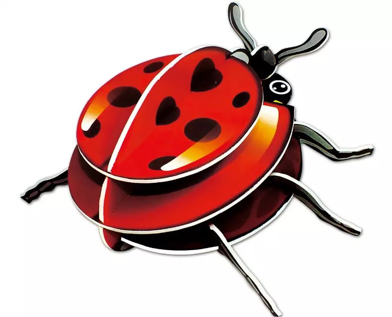 昆虫 3D立体拼图 DIY拼图 两片装 进红纸品