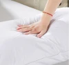 Shefan Hotel supplies, five-star hotel bedding, feather velvet pillow core pillows Application Scenario