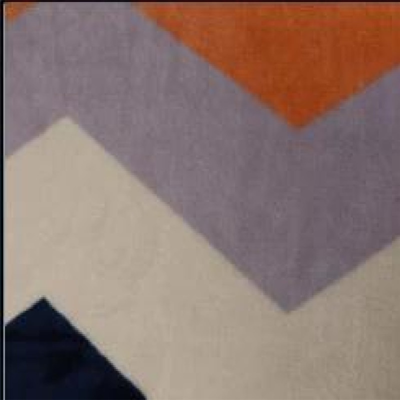 Cotton Thickened Winter Coralline Milanese Blanket details Picture