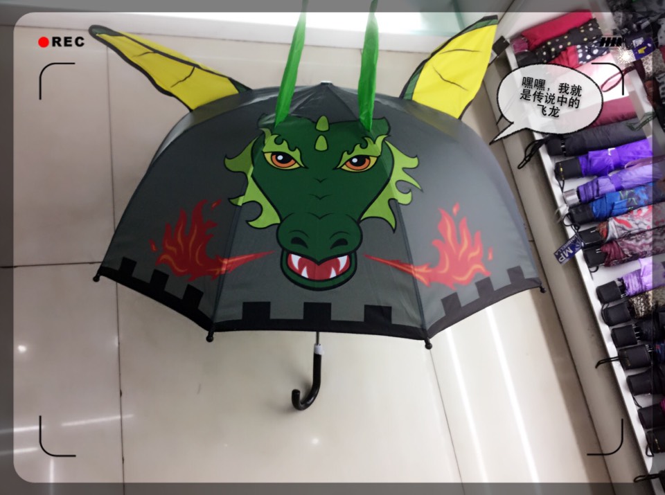 雨伞伞爆款可爱小清新造型伞款式颜色多多直杆伞长伞