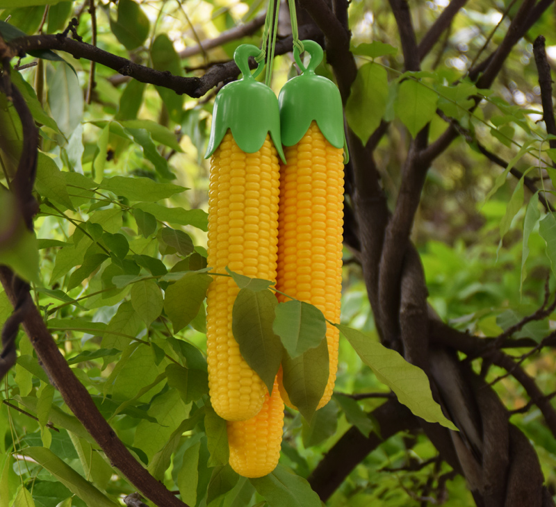 Creative fruit and vegetable umbrella Corn umbrella