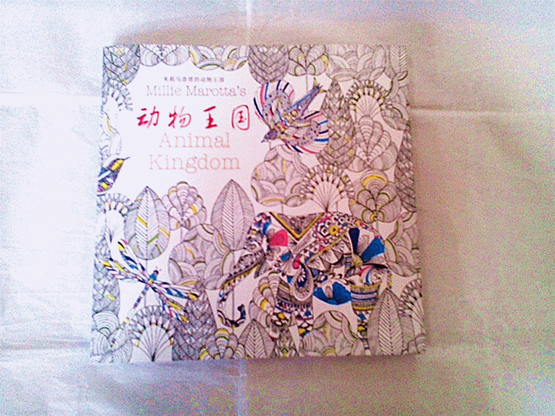 动物王国秘密花园奇幻梦境魔法森林秘密花园涂色书手绘本