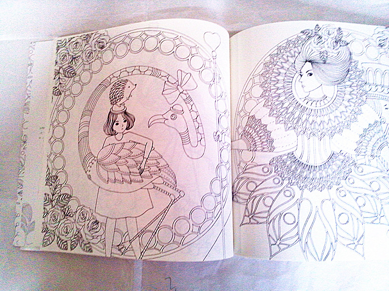 奇幻梦境新款秘密花园 第二部魔法森林 韩文版填色书涂色本细节图