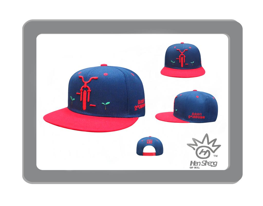 Chinese Dream series Chinese characteristics flat cap