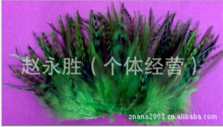天然工艺鸡毛装饰、野鸡毛、舞台鸵鸟毛