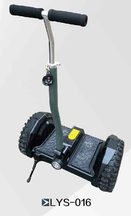 Lys-016 36V 800W brushless motor two-wheel standing balance car