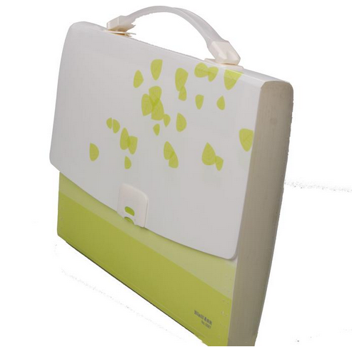 Elerico Print Color Mood 12-Compartment Portable Buckle Organ Bag 5567 Application Scenario