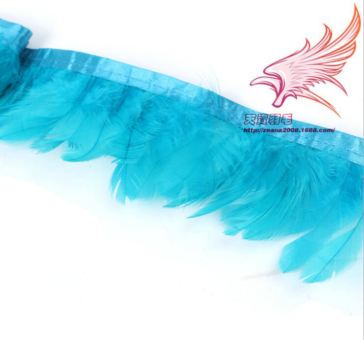 羽毛、羽绒实物图