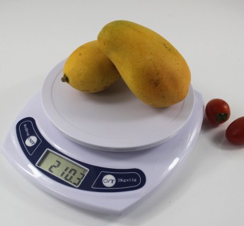 威衡电子厨房秤 烘培秤 药材秤 台秤0.1克/1g 包邮