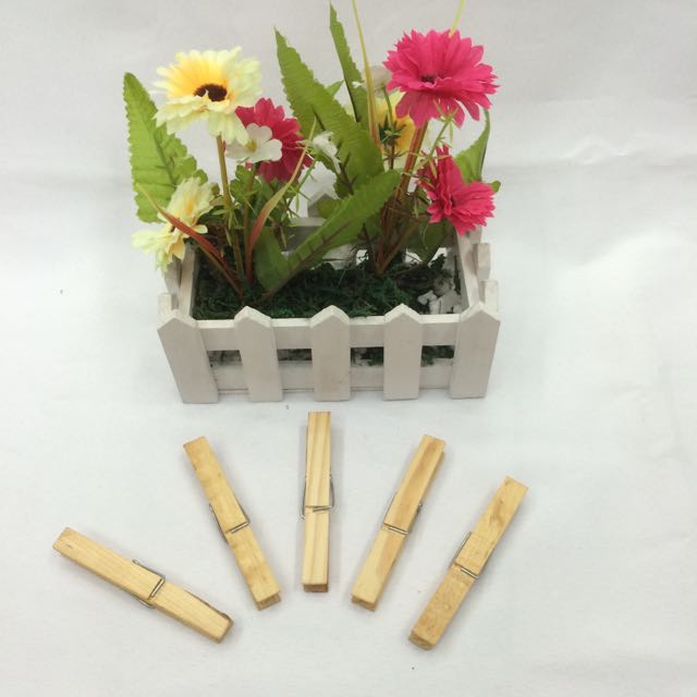 衣夹、裤夹、收纳夹子实物图