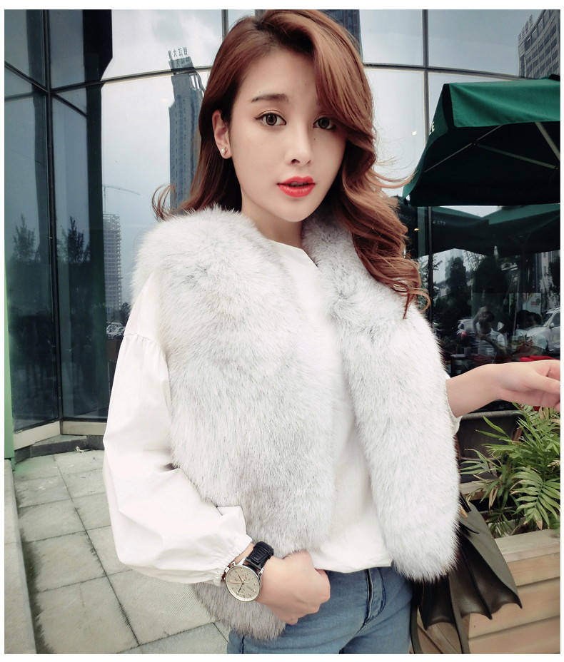 2016 New Haining Fur Vest Foreign Trade Short Imitation Fur Fox Hair Lady Fur Vest Vest details Picture