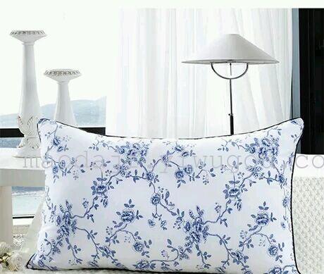 A neck-protecting pillow with a feather and velvet core, a health pillow that can be washed with water, a feather and velvet health pillow