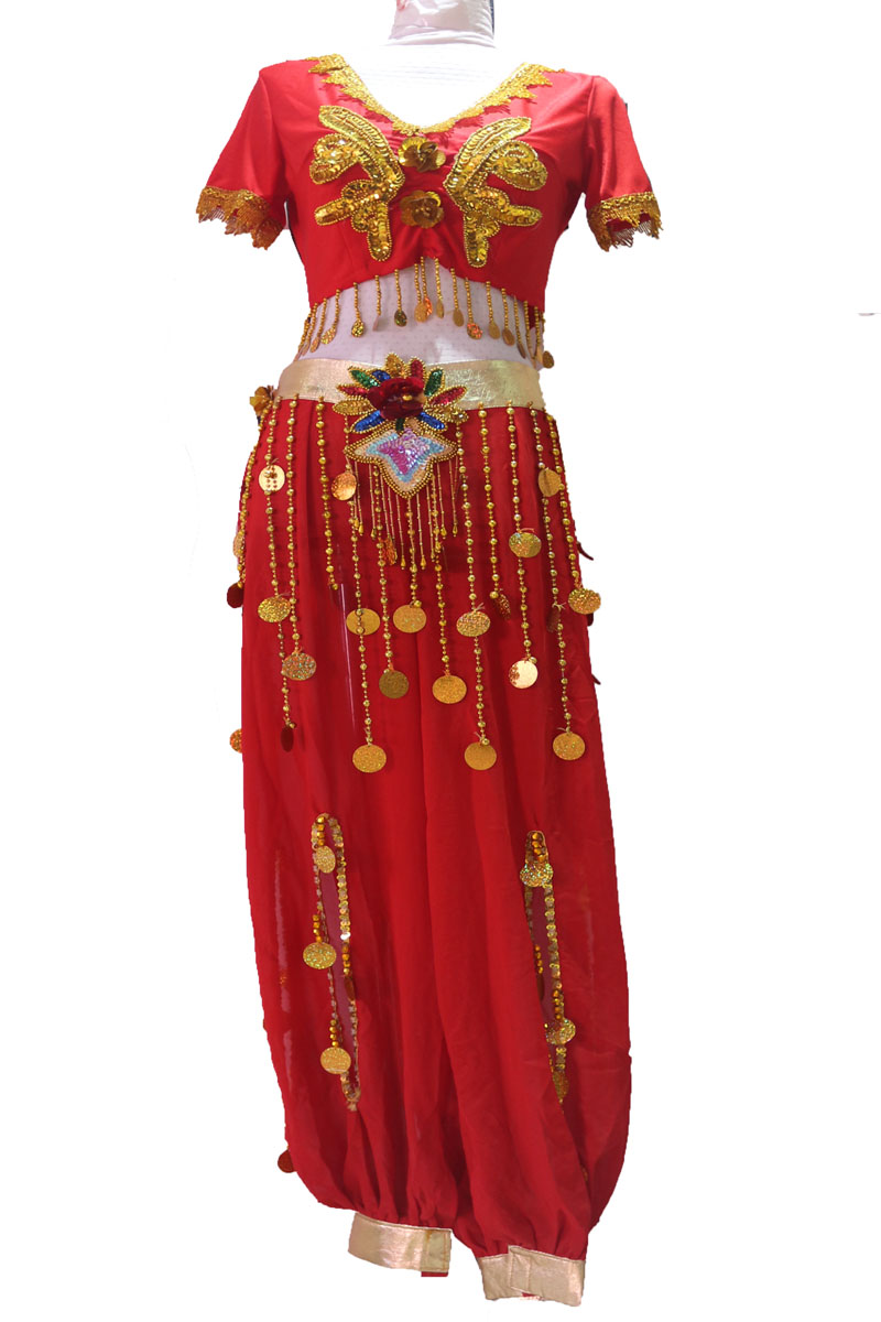 厂家批发 少数民族服装/印度服/肚皮舞服/舞台表演服/印度服细节图