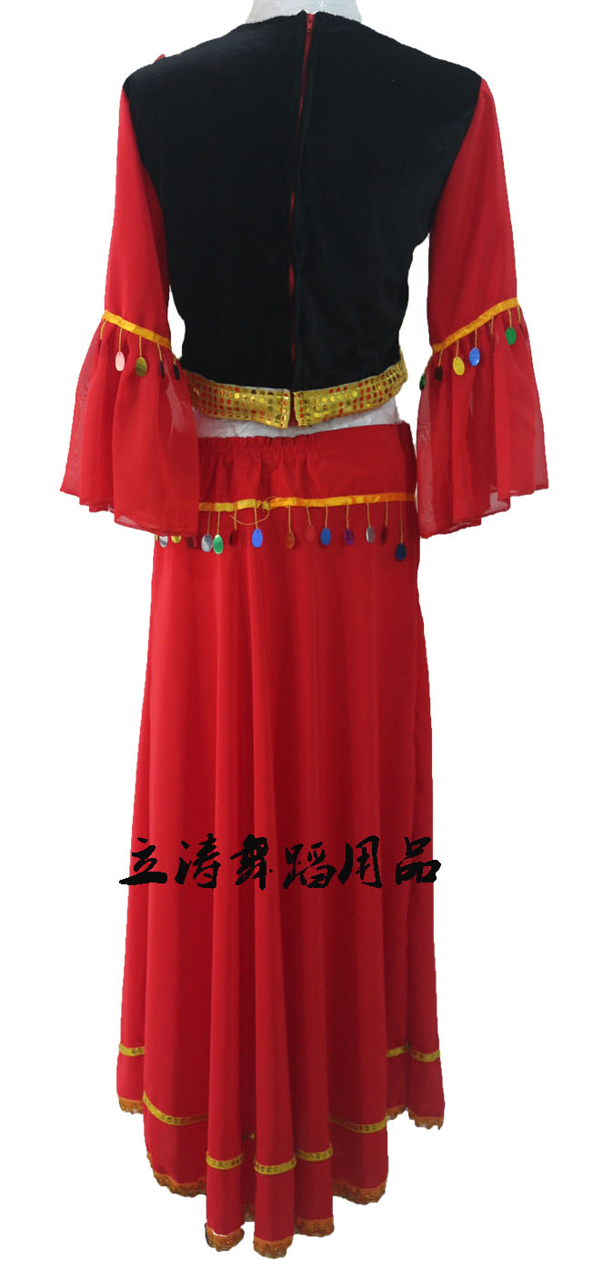少数民族服装/新疆服装/舞蹈服/带头纱套装/印度/肚皮舞服细节图