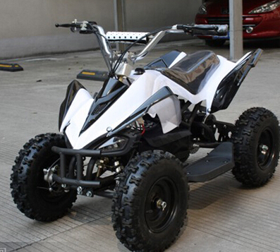 Lyg-019-1 Mars large wheel four-wheel ATV 36V 500W electric vehicle