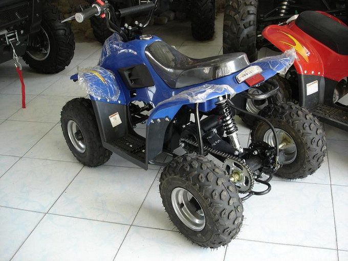 LYG-020-2 Little Dinosaur Four-wheel Beach Buggy 36V 20A electric vehicle Application Scenario