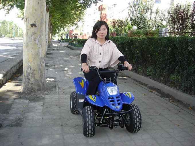LYG-020-2 Little Dinosaur Four-wheel Beach Buggy 36V 20A electric vehicle Specification image