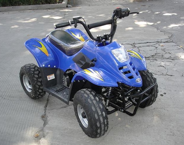 LYG-020-2 Little Dinosaur Four-wheel Beach Buggy 36V 20A electric vehicle details Picture