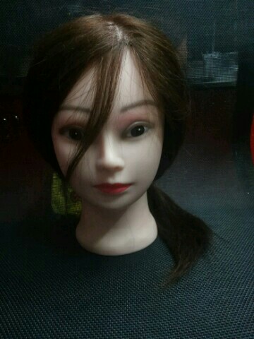 Teaching head, learning head, model head, chemical fiber + animal hair, can be hot, blow,