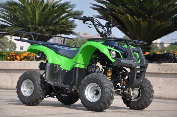 Lyg-025-150CC مصغرة 4L 4 شاحنات الشاطئ details Picture