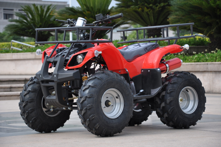 Lyg-025-150CC مصغرة 4L 4 شاحنات الشاطئ Application Scenario