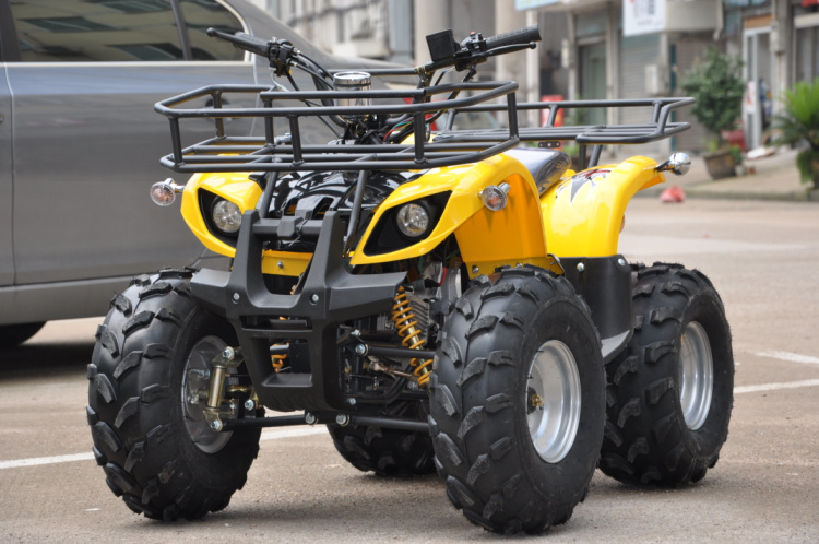 LYG-025-7 250CC Mini Bull 4.5L Four-wheel Beach Butch details Picture