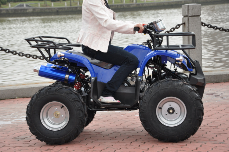 LYG-025-7 250CC Mini Bull 4.5L Four-wheel Beach Butch