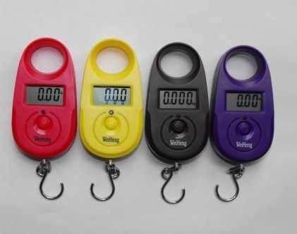 Supply popular AM-A11 LCD small electronic baggage scale multi-functional fishing scale