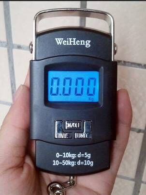 Direct supply AM-A08L Micro fishing scale Express Scale Gift Scale Travel luggage scale