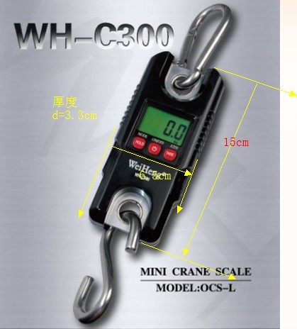 Direct supply of new authentic micro - lifting scale AM-C300 weighing electronic crane scale